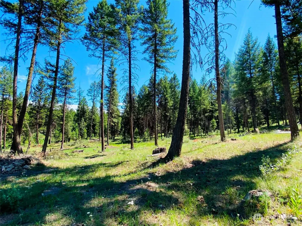 116 Pine Chee Road Oroville, WA 98844