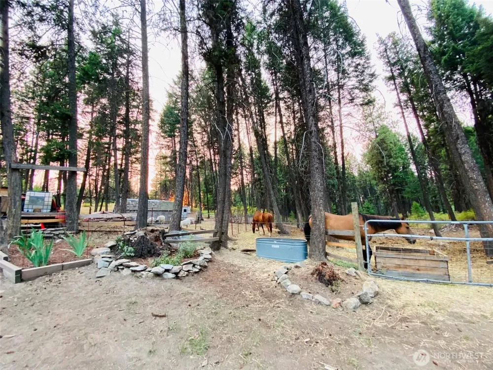 116 Pine Chee Road Oroville, WA 98844