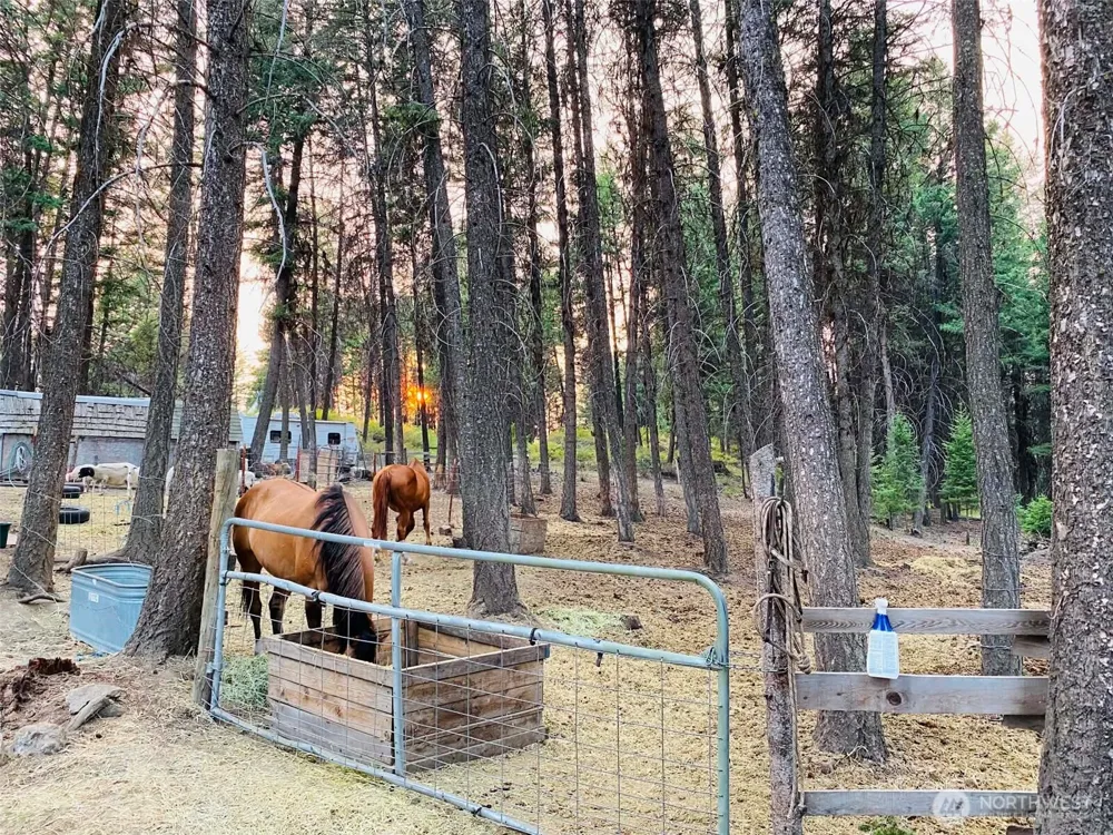 116 Pine Chee Road Oroville, WA 98844