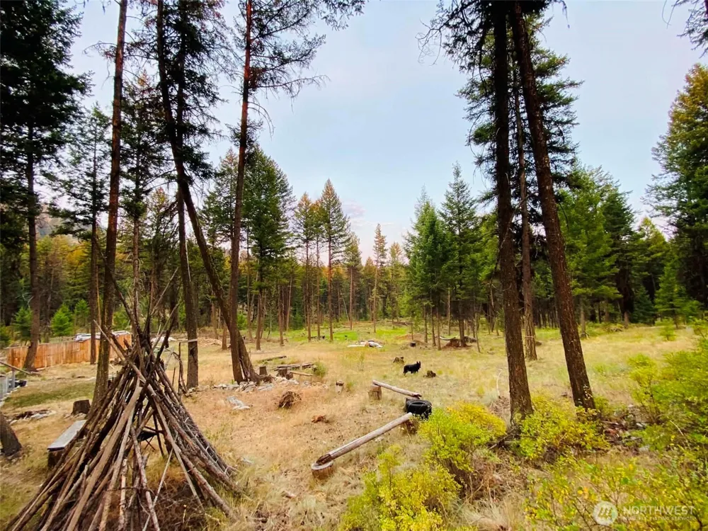 116 Pine Chee Road Oroville, WA 98844