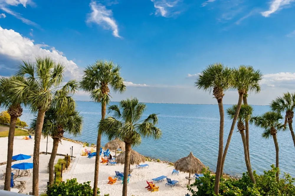 2506 ROCKY POINT DRIVE #331 Tampa, FL 33607