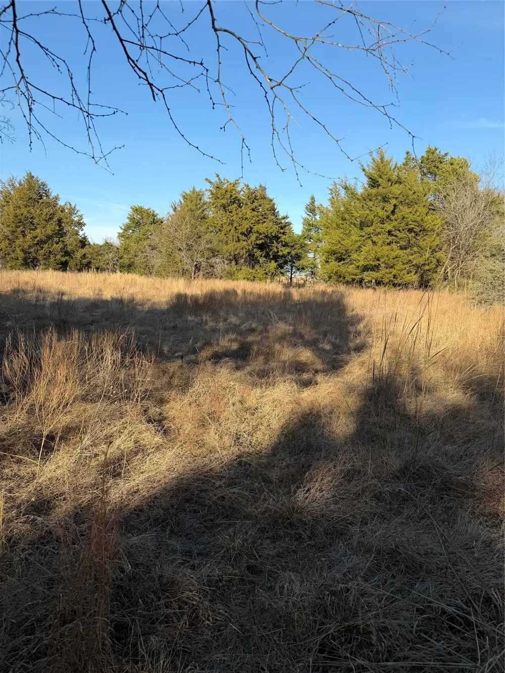 3117 County Road 2130 Corsicana, TX 75109