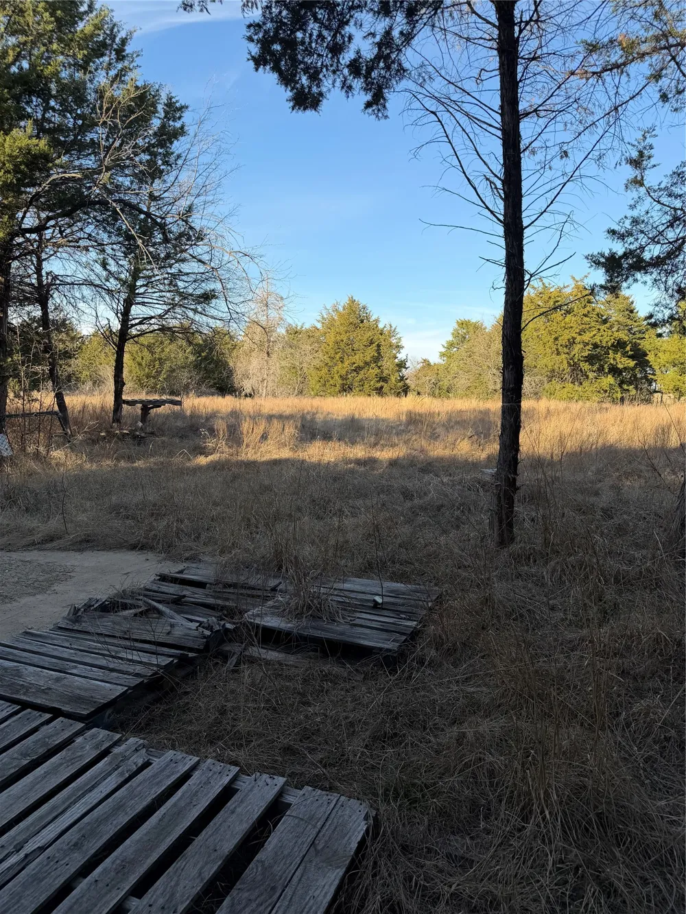 3117 County Road 2130 Corsicana, TX 75109