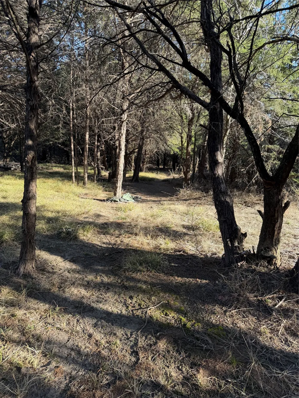3117 County Road 2130 Corsicana, TX 75109