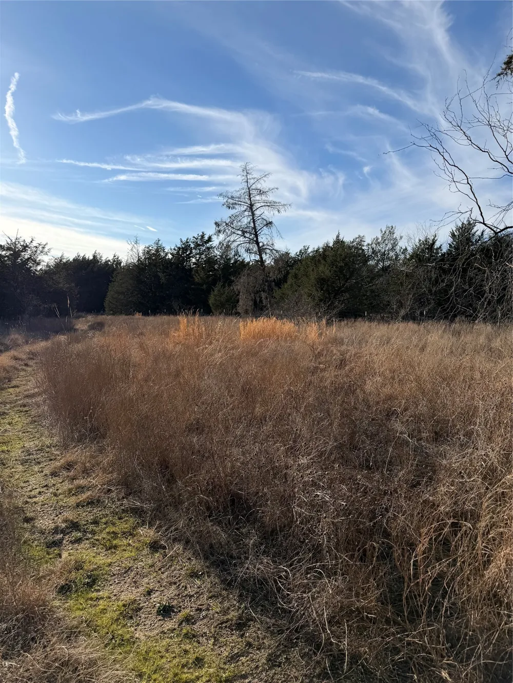 3117 County Road 2130 Corsicana, TX 75109