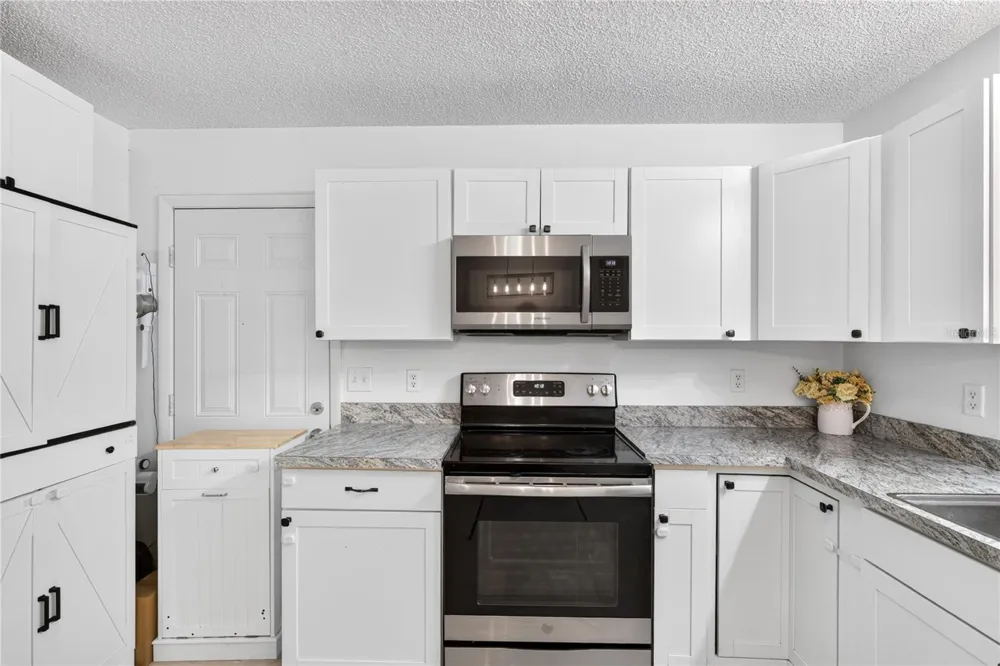 30832 RIDGEVIEW AVENUE Mount Plymouth, FL 32776