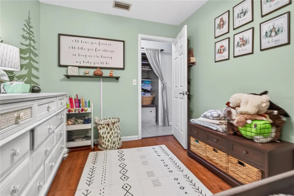 30832 RIDGEVIEW AVENUE Mount Plymouth, FL 32776