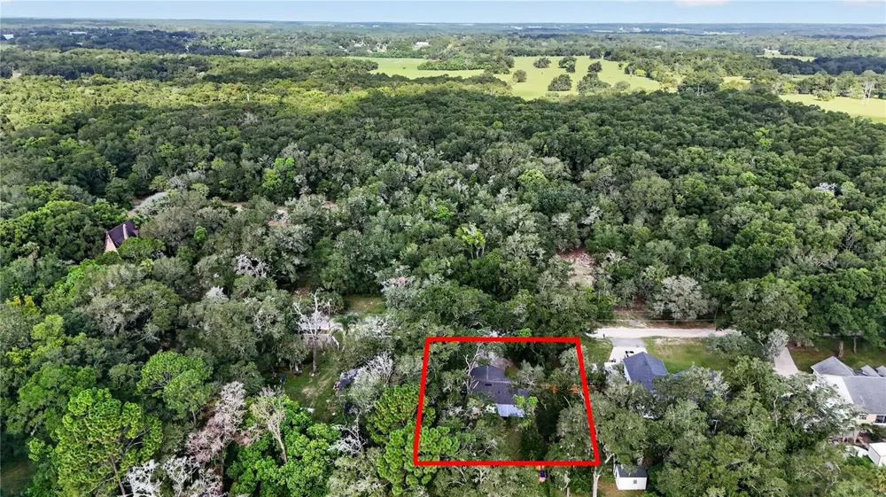 30832 RIDGEVIEW AVENUE Mount Plymouth, FL 32776