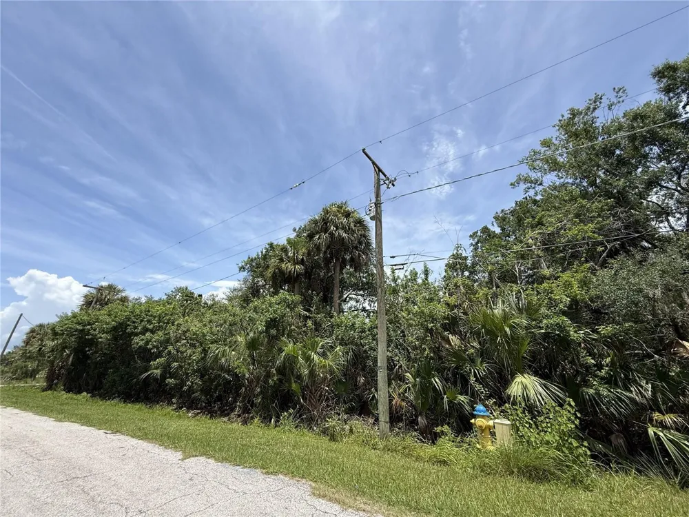 5997 KRACKER AVENUE Gibsonton, FL 33534