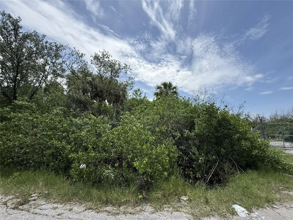 5997 KRACKER AVENUE Gibsonton, FL 33534