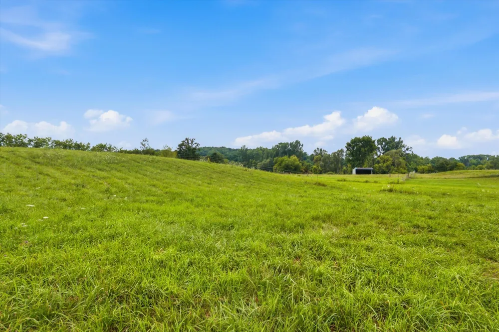 7310 Steinbach Road Manchester, MI 48158