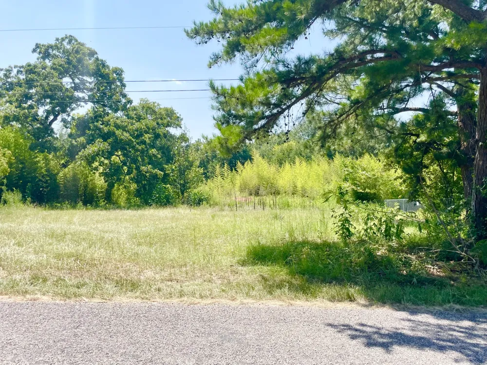 1129 Hamlett Street Athens, TX 75751