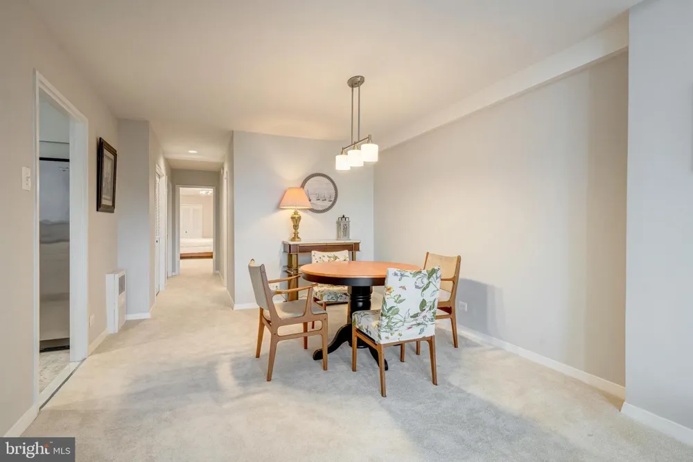 1200 NASH STREET #232 Arlington, VA 22209