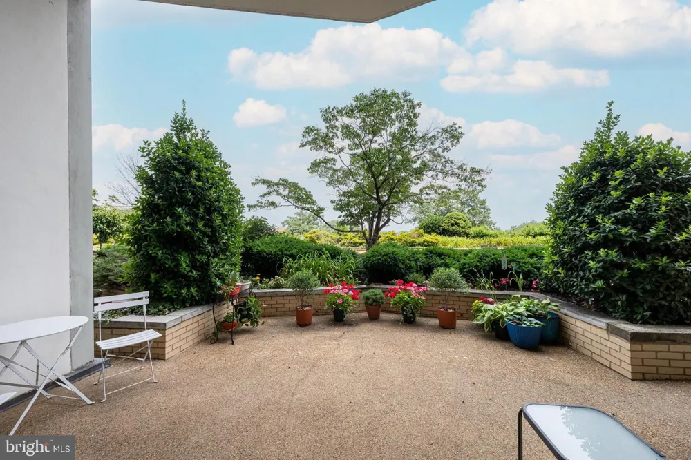 1200 NASH STREET #232 Arlington, VA 22209