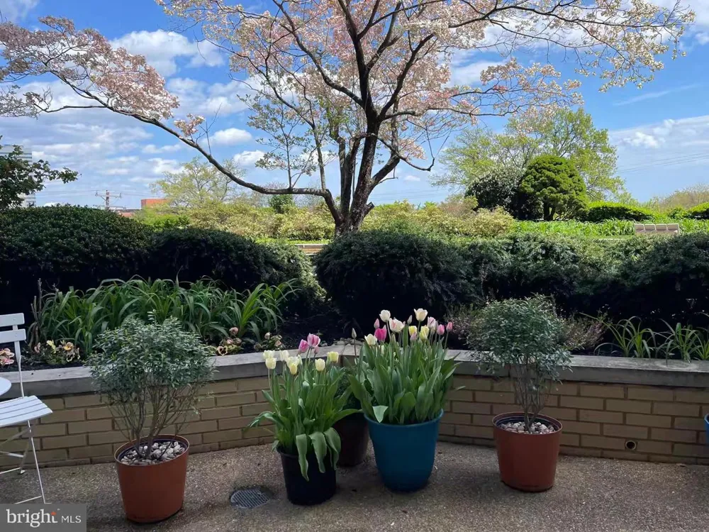 1200 NASH STREET #232 Arlington, VA 22209