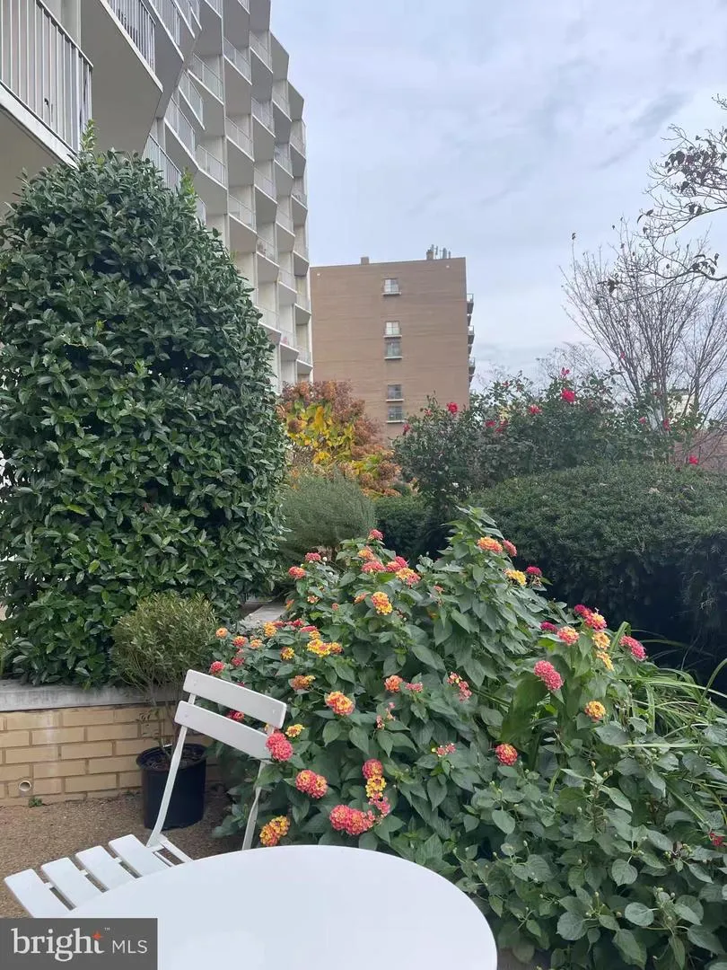 1200 NASH STREET #232 Arlington, VA 22209