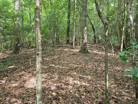 3.59 AC Swallows Creek Road