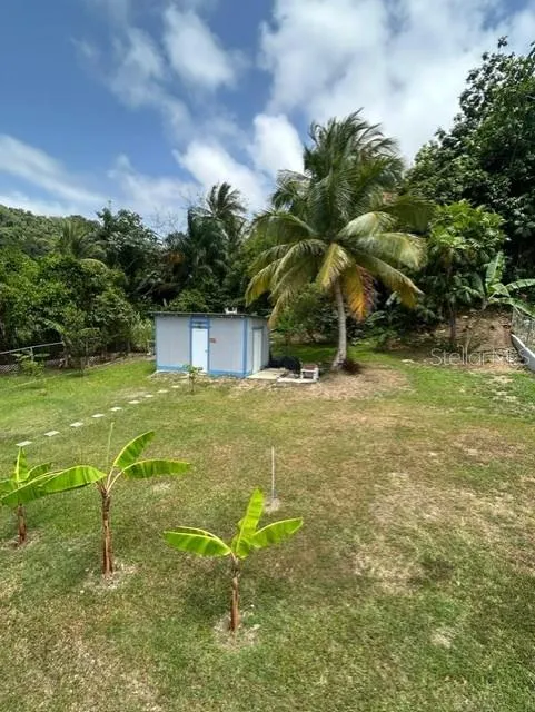 Bo Quebrada Fajardo CARR#985 KM 1.3 #Lote#5 Fajardo, PR 00738