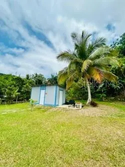 Bo Quebrada Fajardo CARR#985 KM 1.3 #Lote#5 Fajardo, PR 00738
