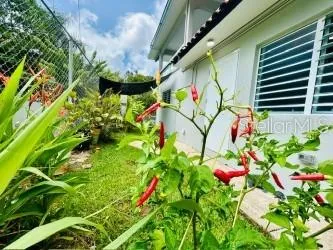 Bo Quebrada Fajardo CARR#985 KM 1.3 #Lote#5 Fajardo, PR 00738