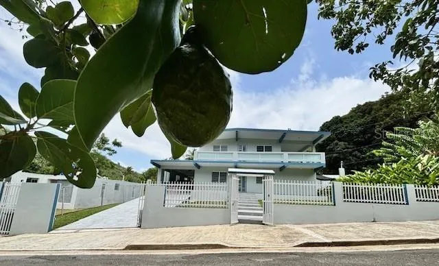 Bo Quebrada Fajardo CARR#985 KM 1.3 #Lote#5 Fajardo, PR 00738