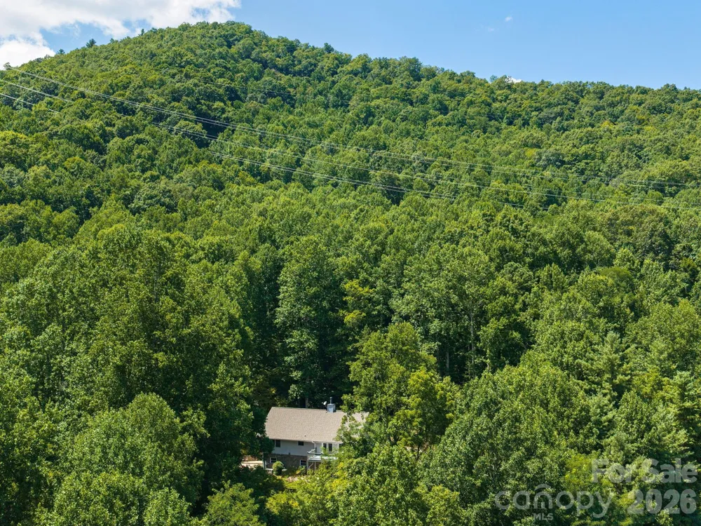 1572 Brushy Fork Road Sylva, NC 28779