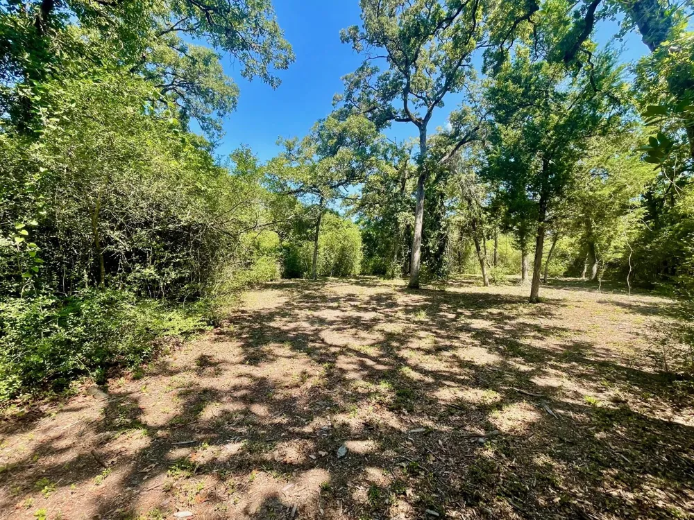 9226 Stetson Drive Normangee, TX 77871