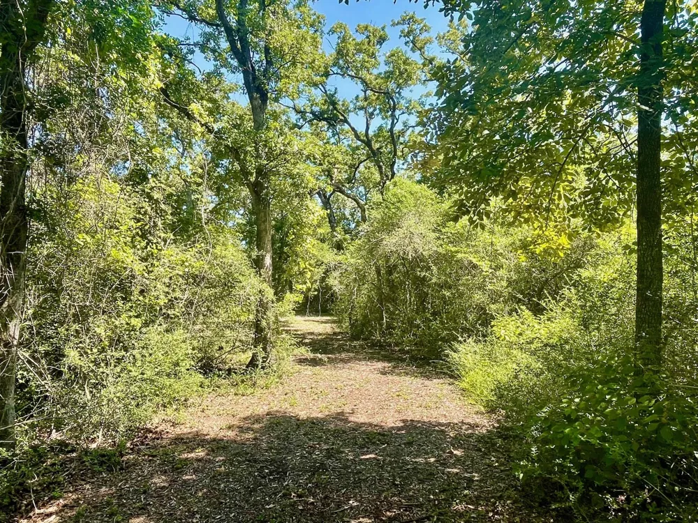 9226 Stetson Drive Normangee, TX 77871