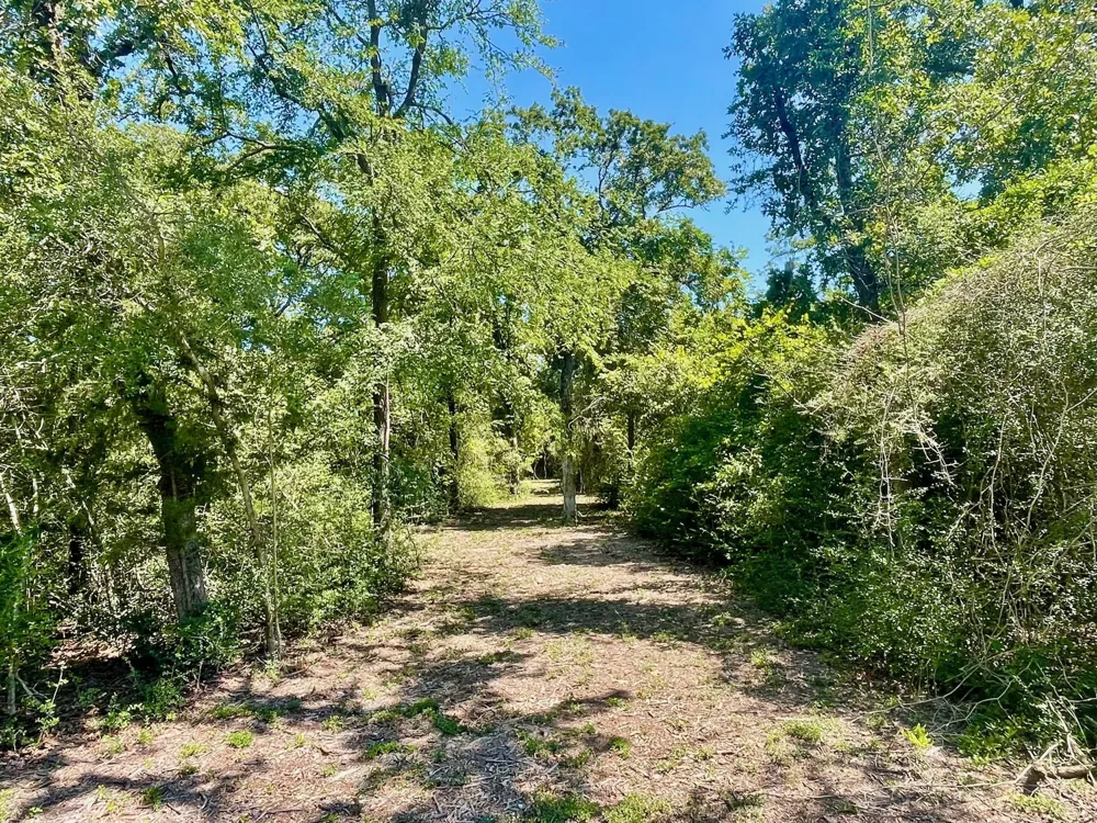 9226 Stetson Drive Normangee, TX 77871