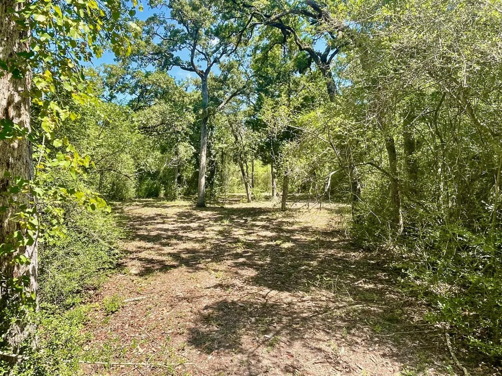 9226 Stetson Drive Normangee, TX 77871