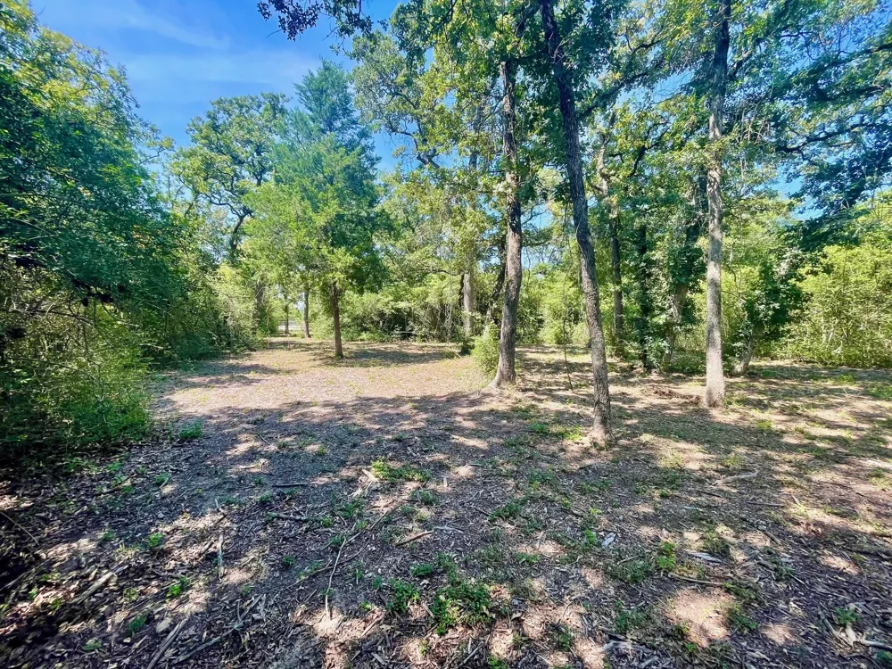 9226 Stetson Drive Normangee, TX 77871