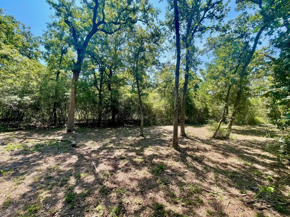 9226 Stetson Drive Normangee, TX 77871
