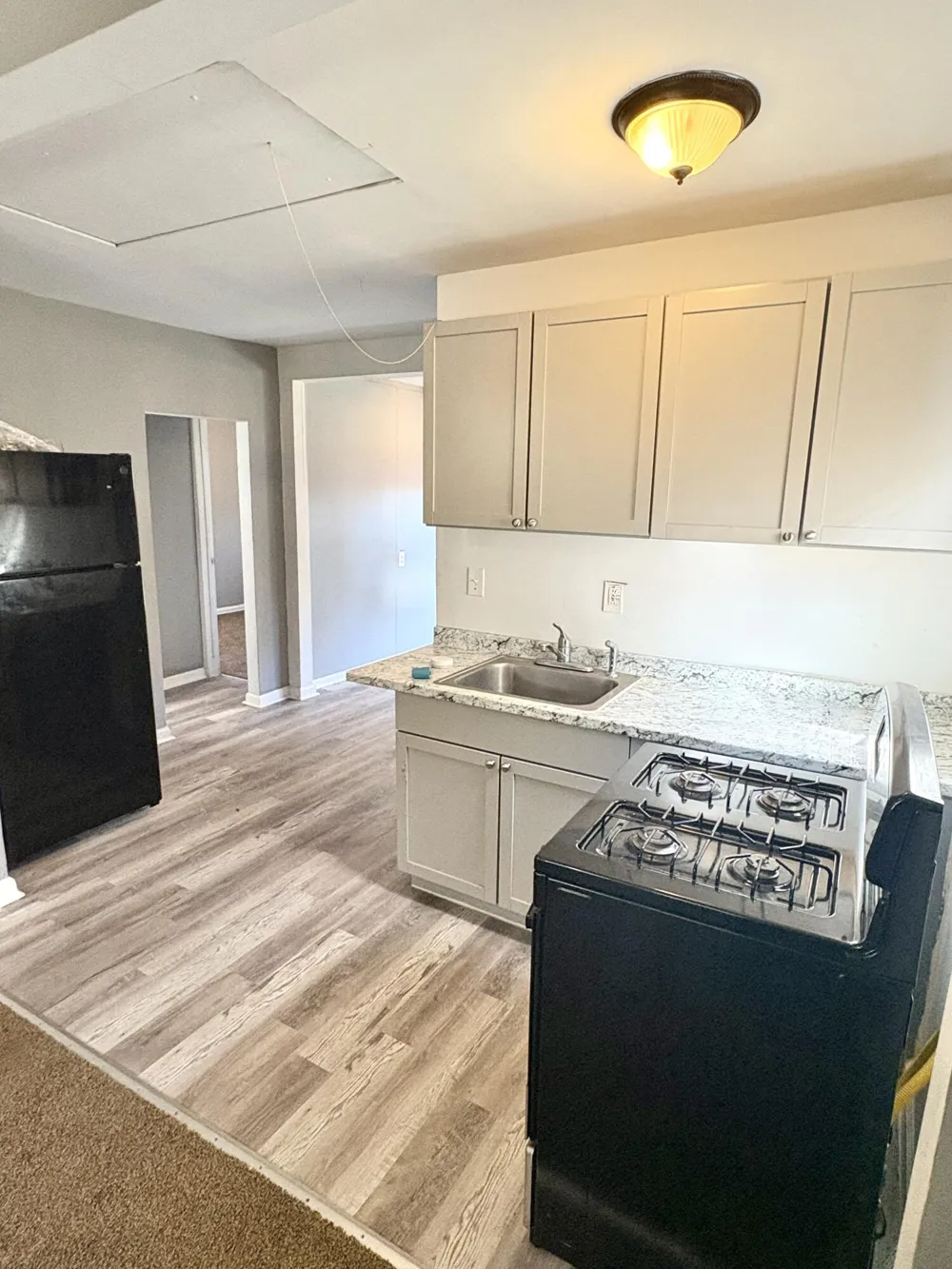 1321 Applewood Avenue Lincoln Park, MI 48146
