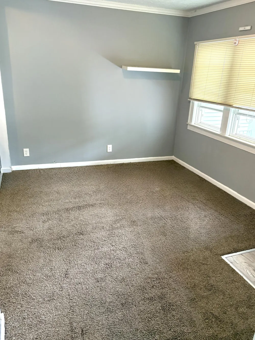 1321 Applewood Avenue Lincoln Park, MI 48146