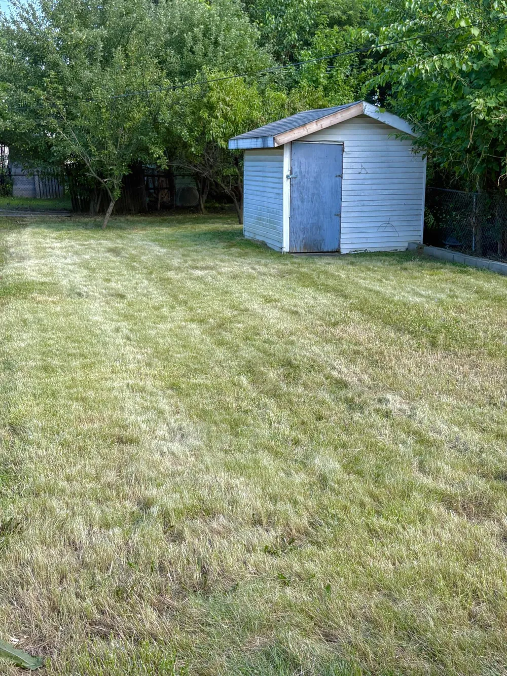 1321 Applewood Avenue Lincoln Park, MI 48146