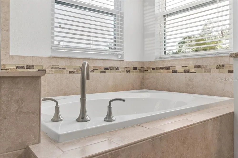 19129 LONG LAKE RANCH BOULEVARD Lutz, FL 33558