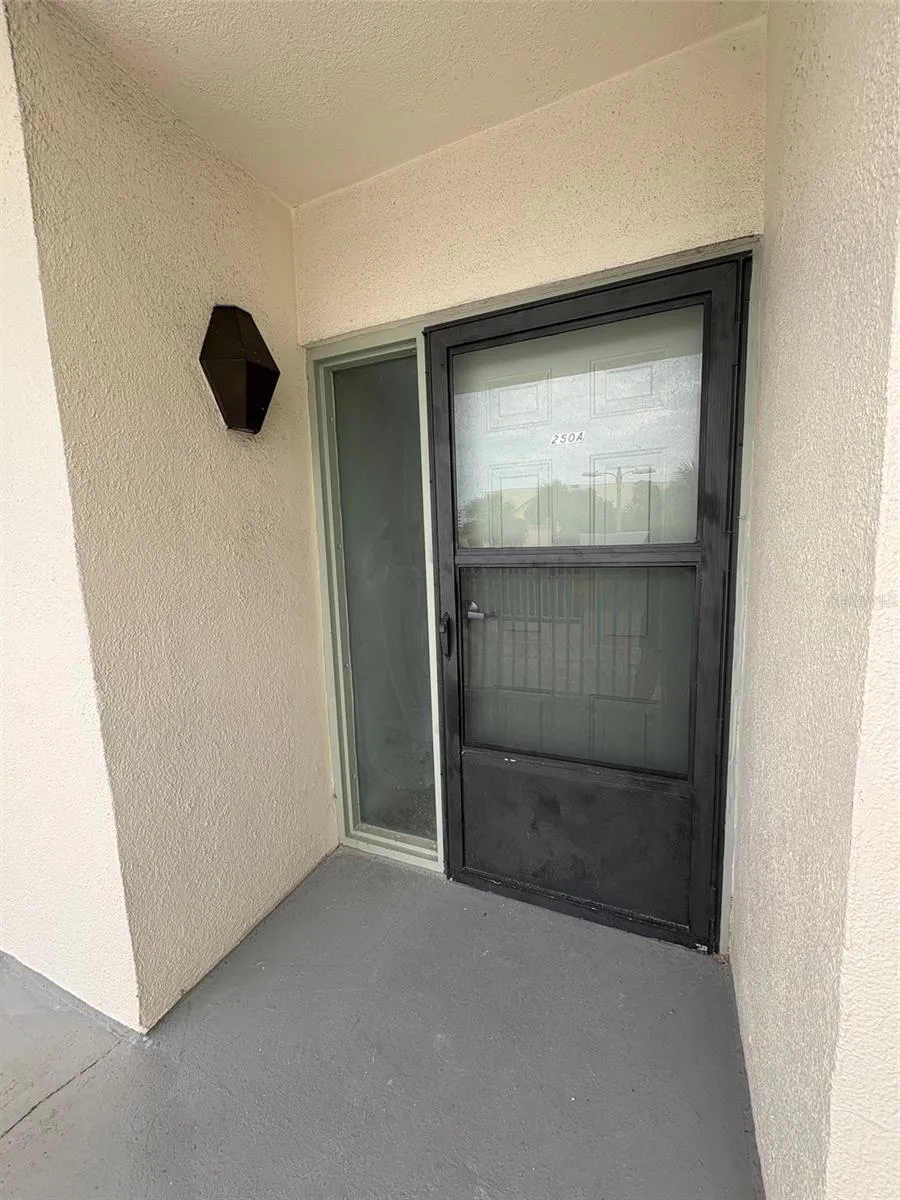250 WOODETTE DRIVE #A Dunedin, FL 34698