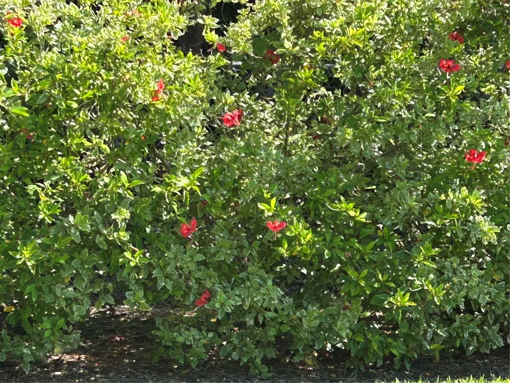 146 BOCA CIEGA POINT BLVD BOULEVARD S #146 St Petersburg, FL 33708
