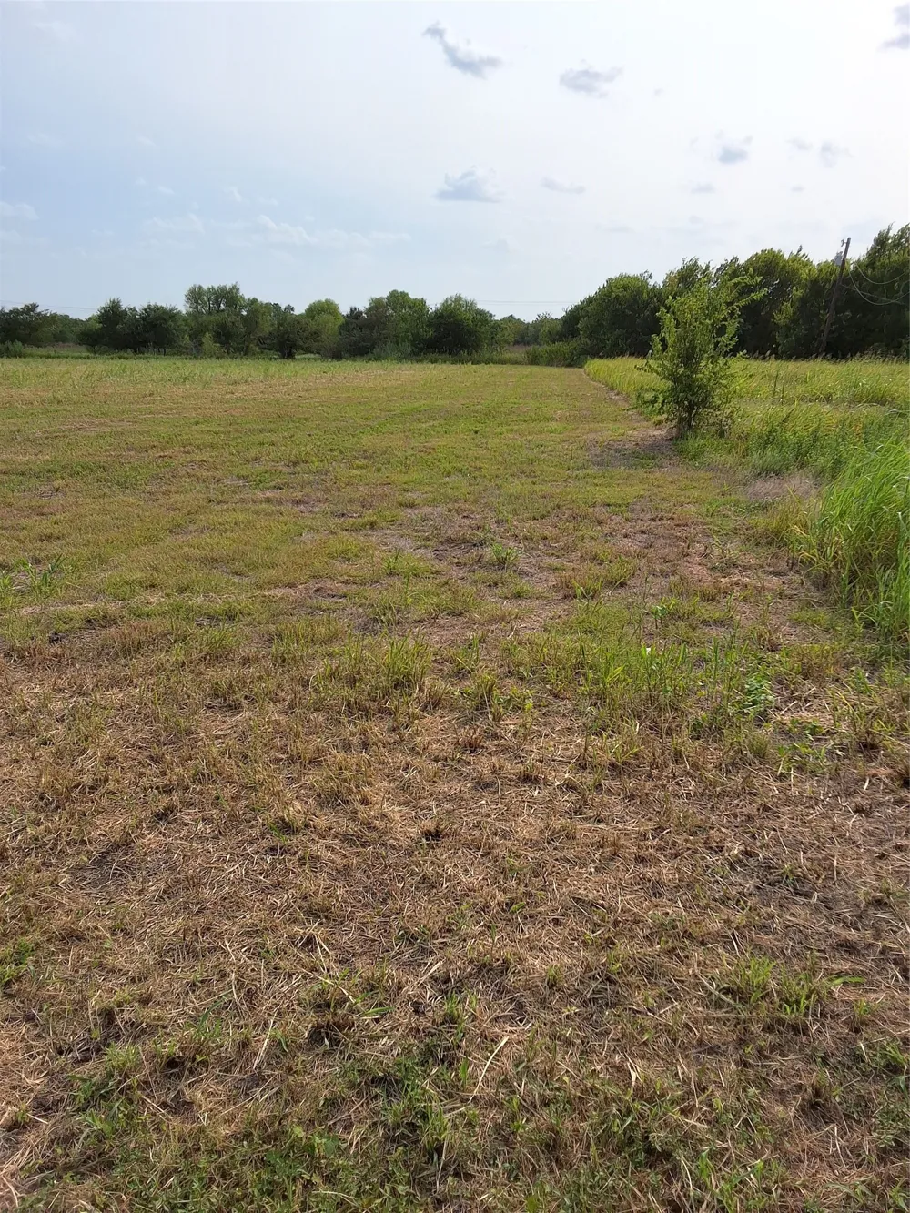 S Commerce Street Mart, TX 76664