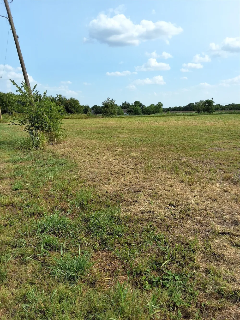 S Commerce Street Mart, TX 76664
