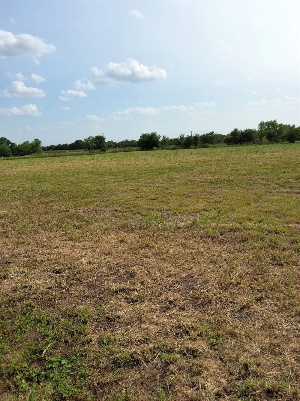 S Commerce Street Mart, TX 76664