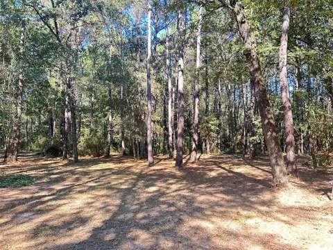 24445 Pipestem Drive