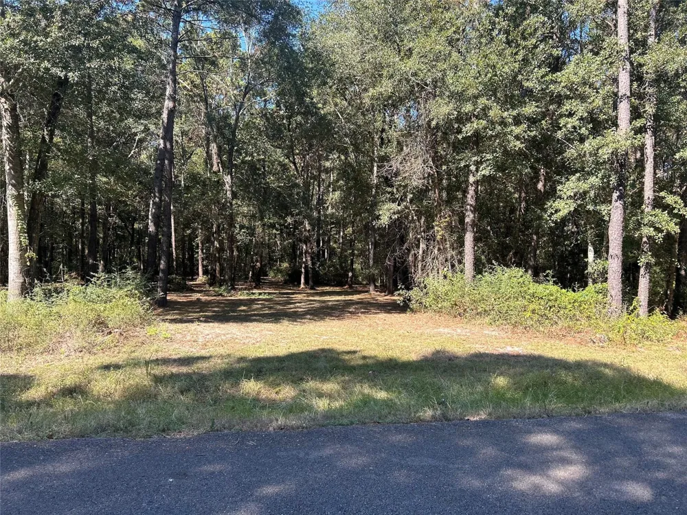 24445 Pipestem Drive Magnolia, TX 77355
