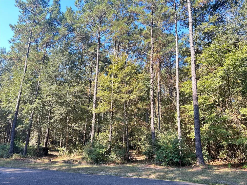 24445 Pipestem Drive Magnolia, TX 77355