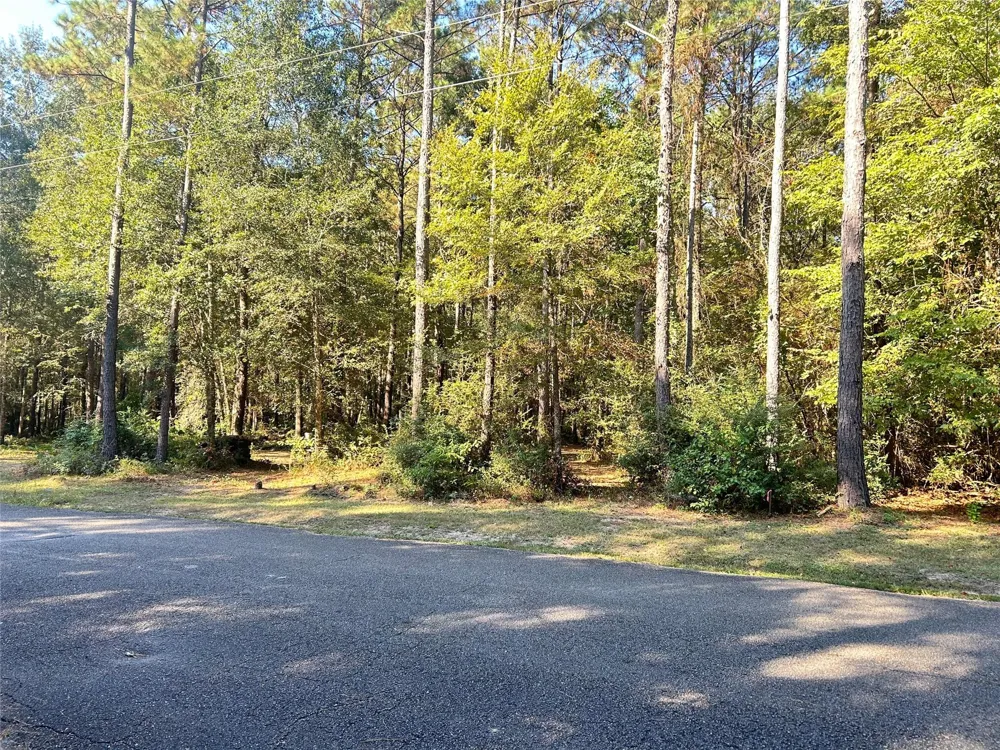 24445 Pipestem Drive Magnolia, TX 77355