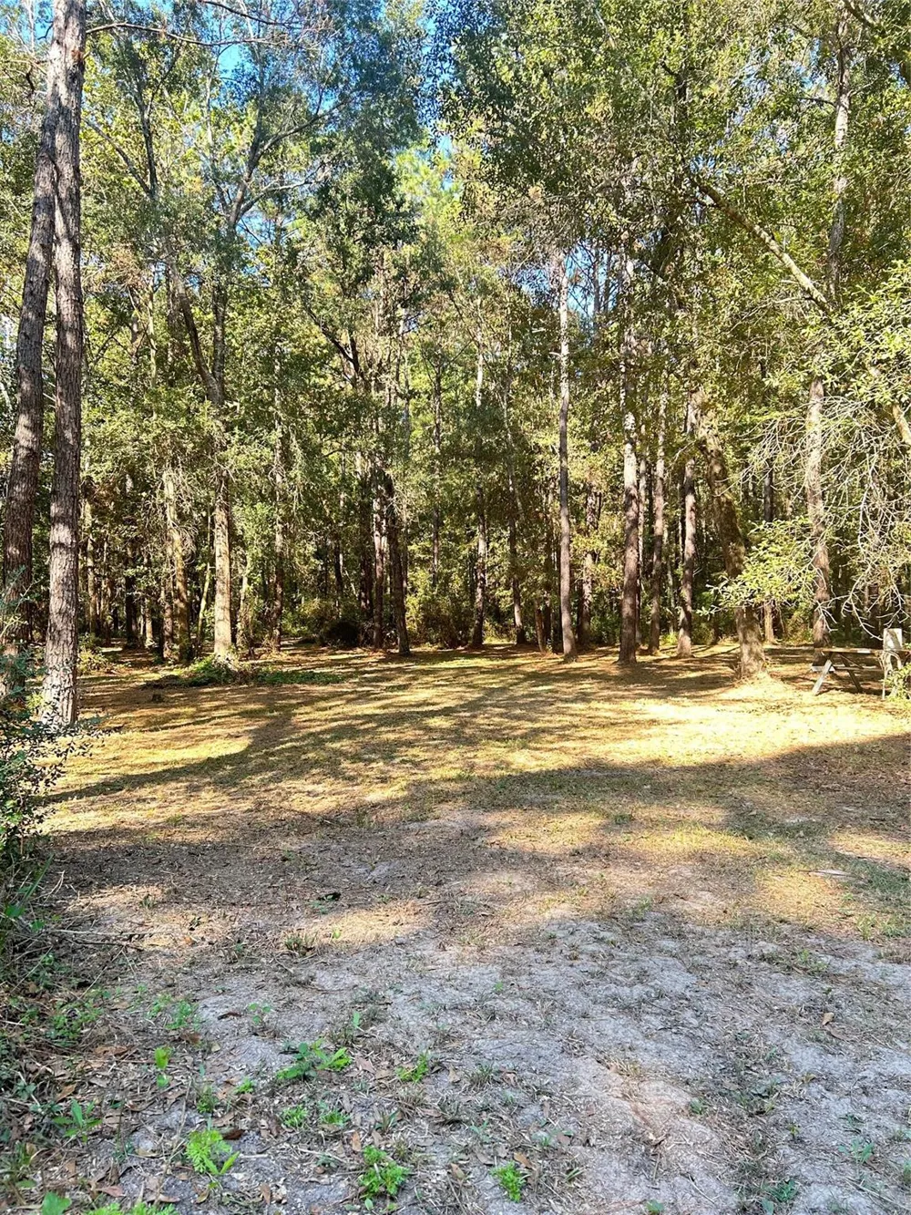 24445 Pipestem Drive Magnolia, TX 77355