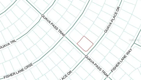 GUAVA PLACE DRIVE