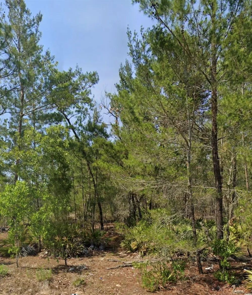MALAUKA TRAK Ocklawaha, FL 32179