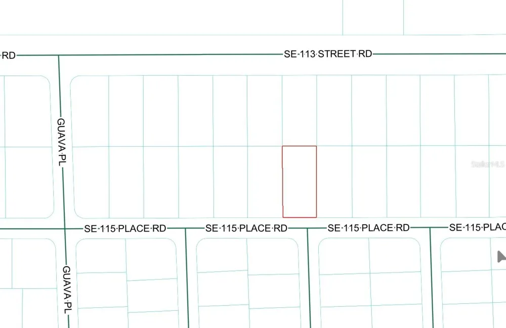SE 115 PLACE ROAD Ocklawaha, FL 32179