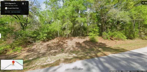 275 E ELGROVE DRIVE